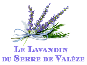 Logo Le Lavandin du Serre de Valèze